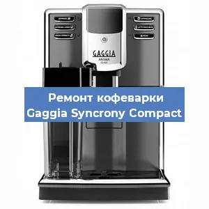 Чистка кофемашины Gaggia Syncrony Compact от кофейных масел в Перми
